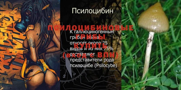марки nbome Белокуриха