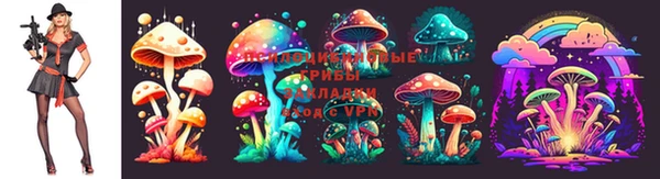 гидропоника Беломорск