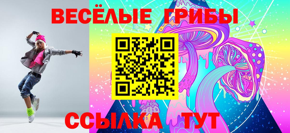 Псилоцибиновые грибы мухоморы Горно-Алтайск